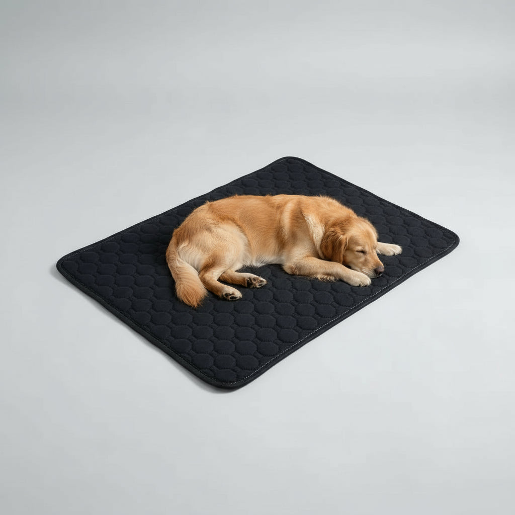 PawBerry Club ™ premium Washable Pee Pad
